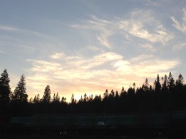 Sunday afternoon at Center Parcs