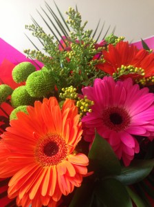 orange and pink flowers