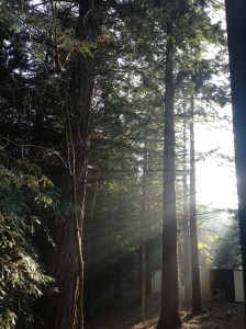 Saturday morning at Center Parcs