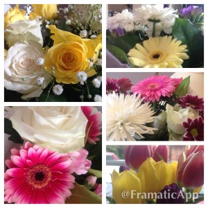 We were given lots of flowers!