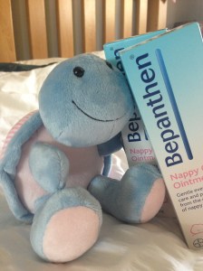 Wilf the Bepanthen tortoise