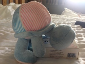 Wilf the Bepanthen tortoise