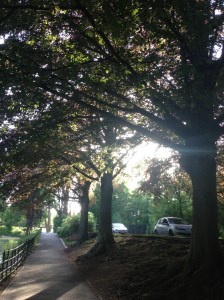 Roath Park, a sunny Saturday in June