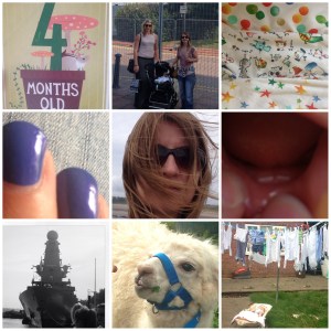 4 months old... a visit to Cardiff Bay.... new sleepsuits from Next.... manicured nails... windswept by the sea... 2 teeth!.. HMS Destroyer.. a llama at St Fagans food festival... and a garden scene!