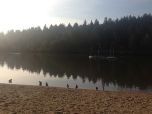 early morning walk down at the lake, Center Parcs