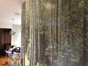 I love this wall in the chalet at Center Parcs!