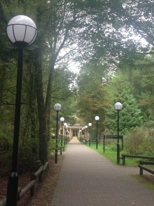 Even the walk to the spa is lovely at Center Parcs!