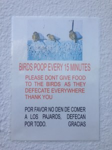 Loved these posters at the bar/pool area