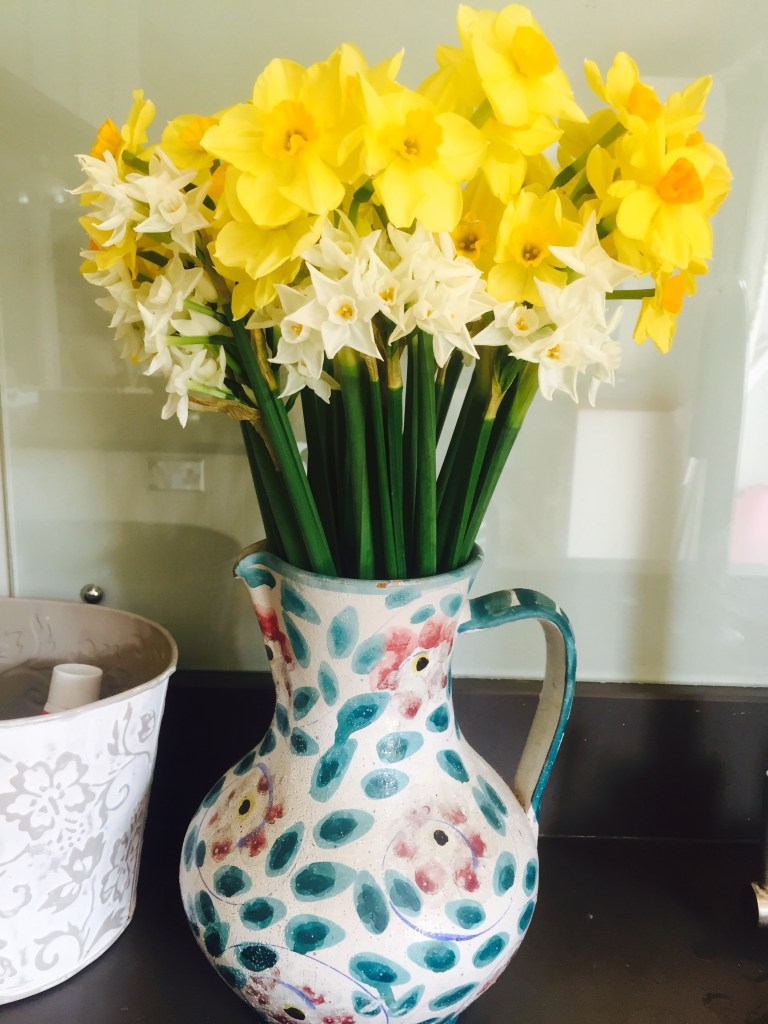 daffodils in jug 