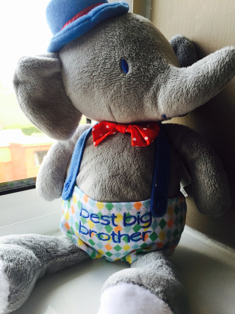 best big brother elephant 