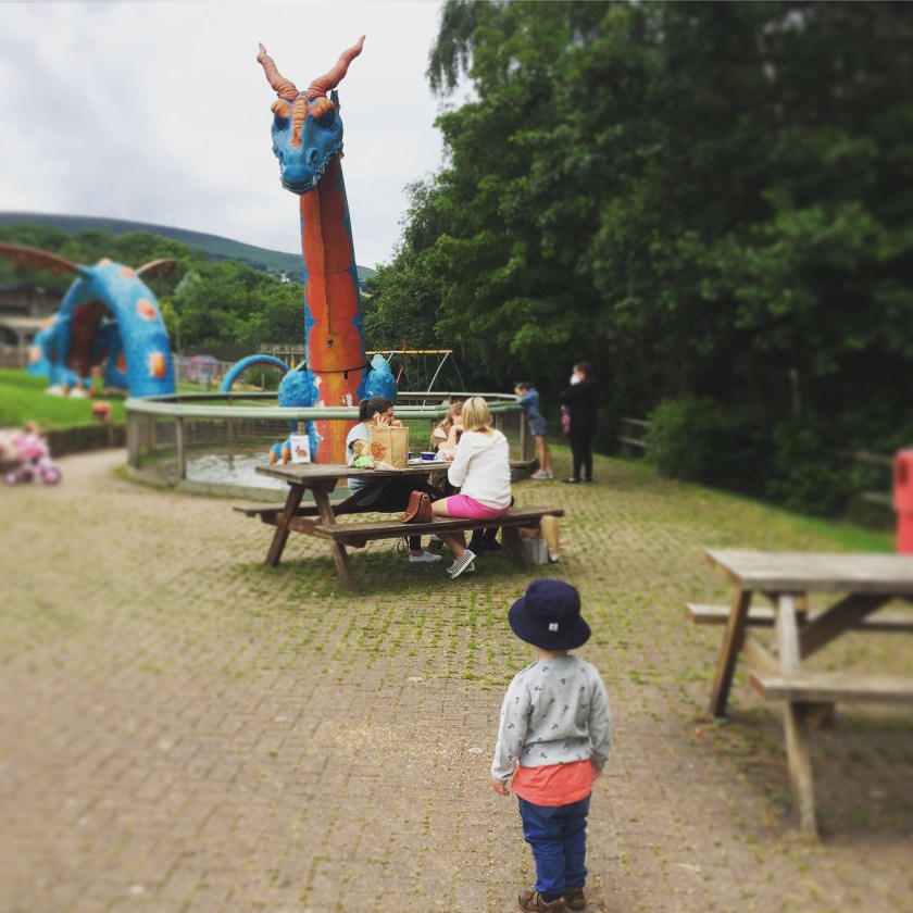 greenmeadow community farm