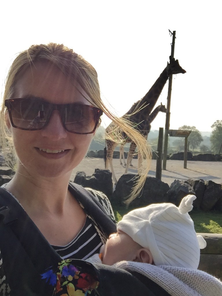 Babywearing in folly farm in front of giraffes!