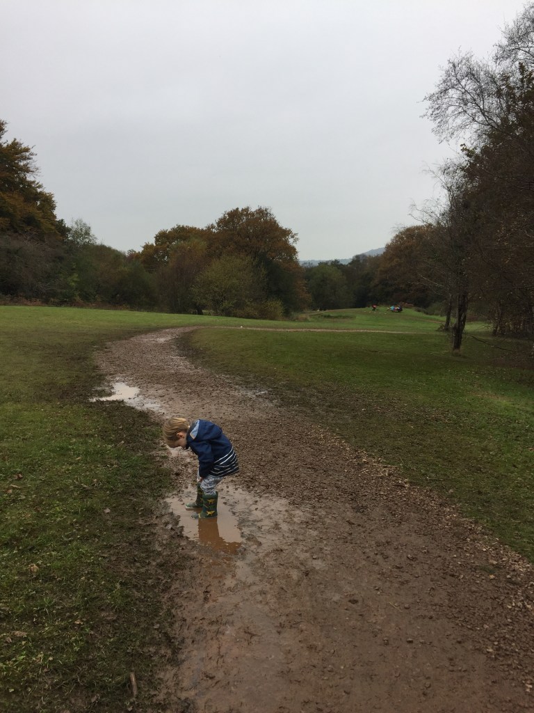 Jumping in muddy puddles, mountain view ranch