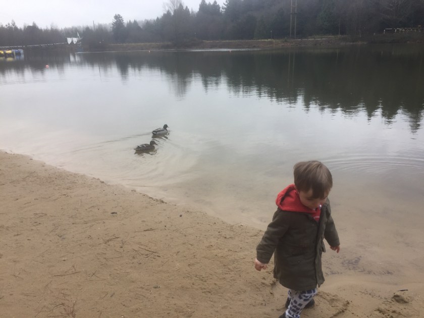The lake at Center parcs longleat
