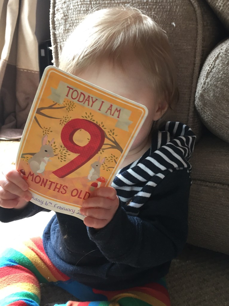 9 month old baby boy