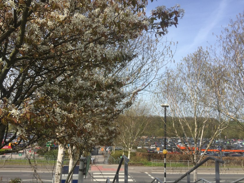 Bristol airport car park