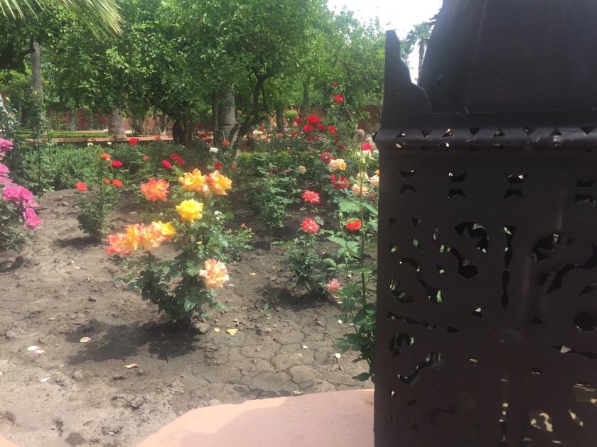 A Moroccan lantern overlooking the rose garden