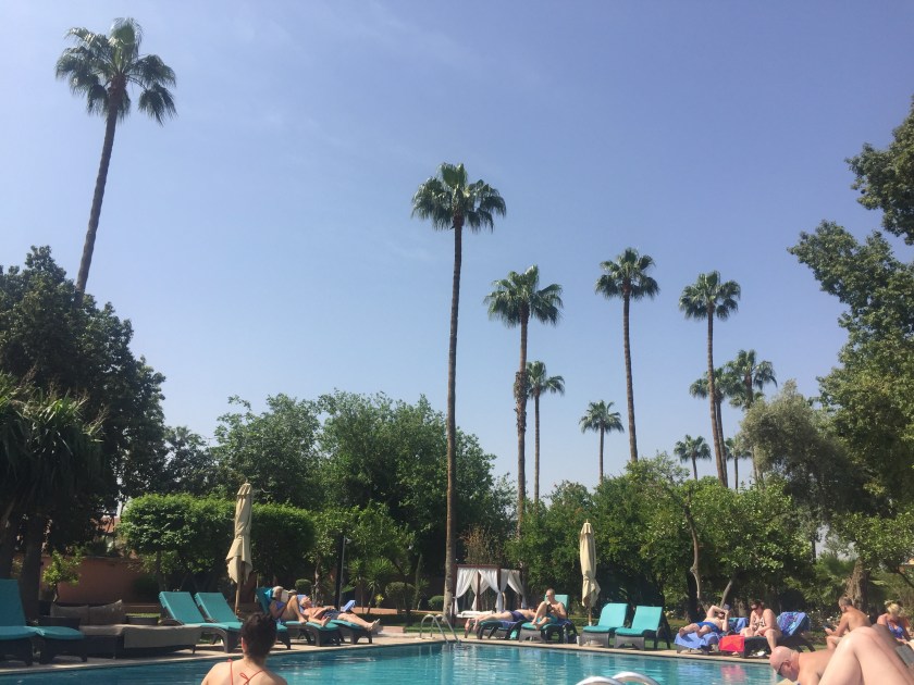 Palm trees at medina gardens Marrakesh