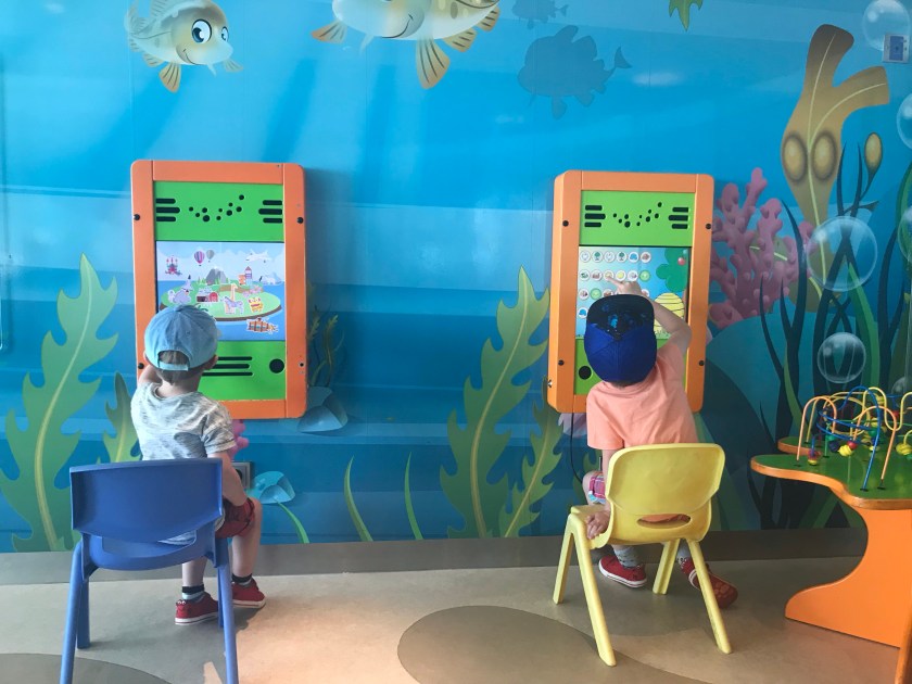 Stems line play area